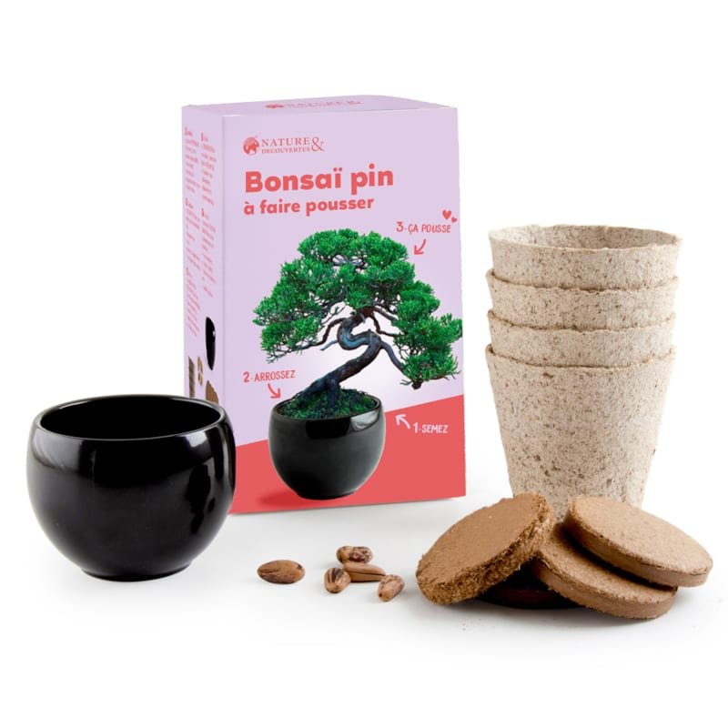 Kit bonsaï à faire pousser