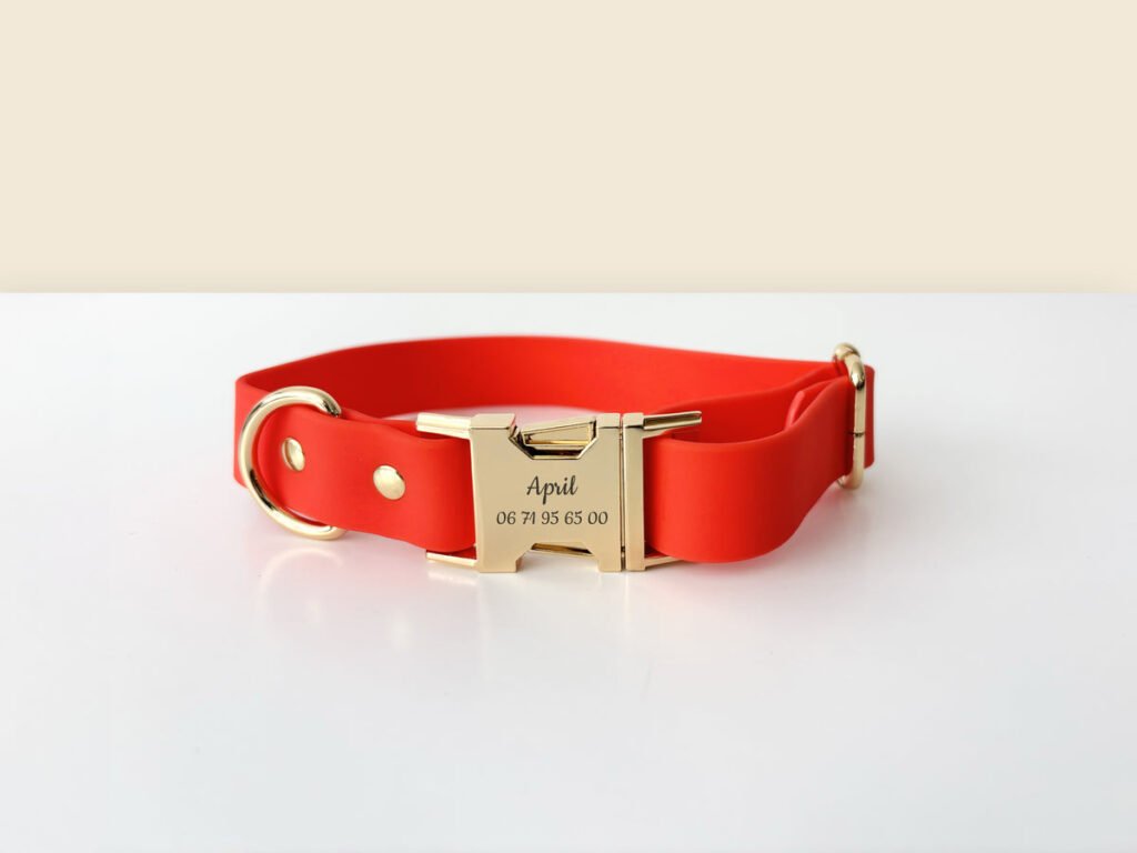 Collier pour chien orange en Biothane, avec fermoir doré portant une inscription.