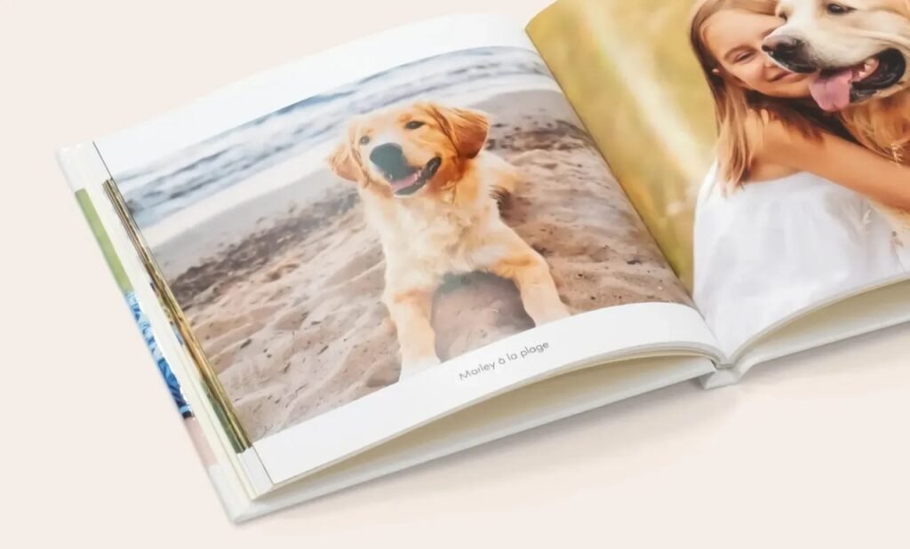 Livre photo ouvert présentant un chien sur une plage et une femme auprès d'un chien